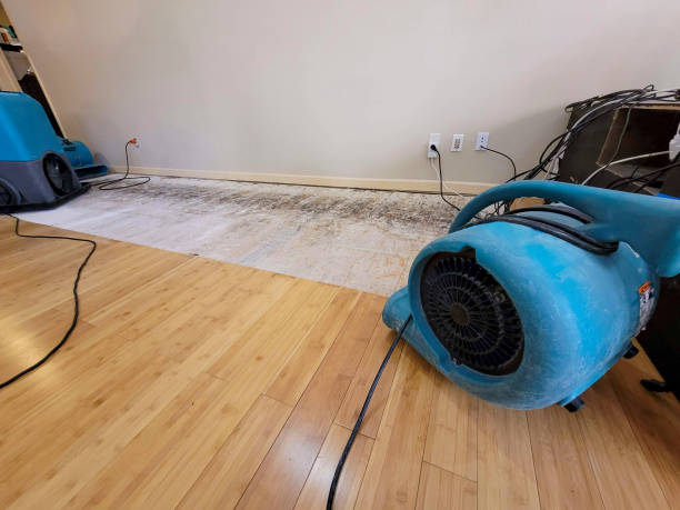 Professional Water Damage Repair technician working in Garden City, MN